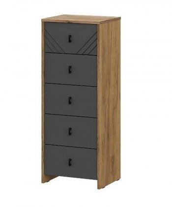 Комод (5 ящиков) Байкал Графит/Дуб золотой (СВ) в Ивделе - ivdel.mebel-e96.ru