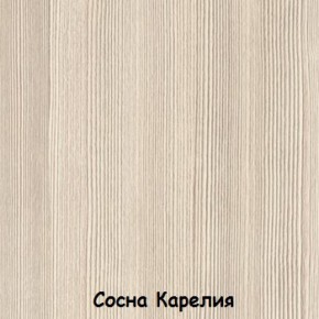 Набор детской мебели Вега Серия 2 (модульная) (СВ) в Ивделе - ivdel.mebel-e96.ru