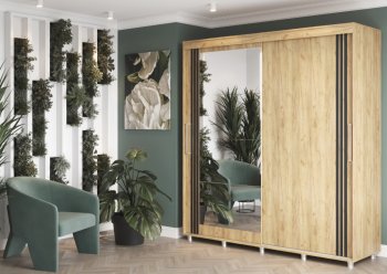 Шкаф-купе 2000 мм Форест крафт золотой(Стиль) в Ивделе - ivdel.mebel-e96.ru