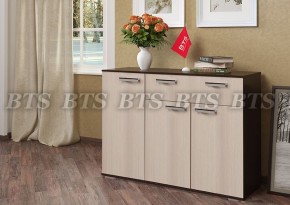 Комод Стандарт 4 NEW (БТС) в Ивделе - ivdel.mebel-e96.ru