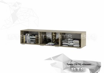 Стенка Наоми (БТС) в Ивделе - ivdel.mebel-e96.ru