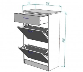 Обувница W21 (ДМ) в Ивделе - ivdel.mebel-e96.ru