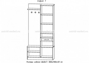 Прихожая София 1 (АстридМ) в Ивделе - ivdel.mebel-e96.ru