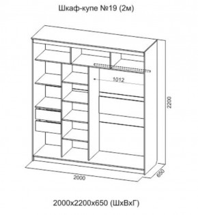 Шкаф-купе №19 Инфинити 2000 мм Ясень анкор светлый (СВ) в Ивделе - ivdel.mebel-e96.ru