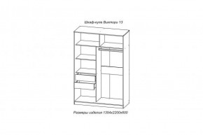 Шкаф-купе ВИКТОРИ-13 Анкор темный в Ивделе - ivdel.mebel-e96.ru