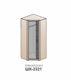 Шкаф ШЕР Дуб серый/айронвуд серебро (ШК-2321) (СанТан) в Ивделе - ivdel.mebel-e96.ru