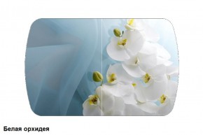 Стол Бостон 2 (1100*700) опоры Брифинг (Стекло/фотопечать Белая орхидея) в Ивделе - ivdel.mebel-e96.ru | фото