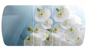 Стол Бостон-3 (Белая Орхидея) 1100/1420*700, опора Брифинг в Ивделе - ivdel.mebel-e96.ru