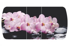 Стол Бостон-3 (Розовая Орхидея) 1100/1420*700, опора Брифинг в Ивделе - ivdel.mebel-e96.ru