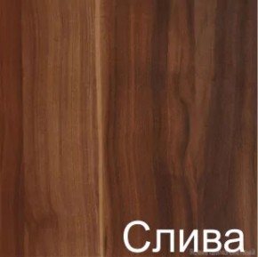 Стол-книжка (1-65) (ГК) в Ивделе - ivdel.mebel-e96.ru
