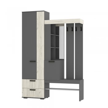 Прихожая Трамп графит/крафт белый (БТС) в Ивделе - ivdel.mebel-e96.ru