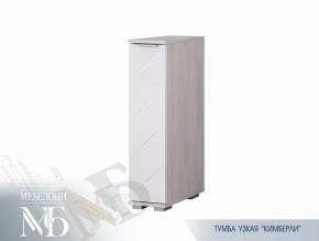 Тумба узкая ТБ-21 Кимберли (БТС) в Ивделе - ivdel.mebel-e96.ru